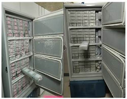 说明: 说明: 图片包含 图示描述已自动生成 说明: 说明: 图片包含 图示描述已自动生成