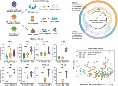 说明: 说明: 图表, 图示描述已自动生成 说明: 说明: 图表, 图示描述已自动生成