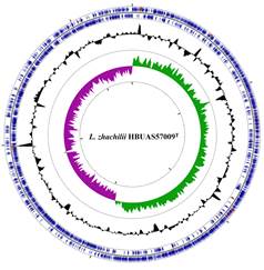 说明: 说明: 图片包含 图示描述已自动生成 说明: 说明: 图片包含 图示描述已自动生成